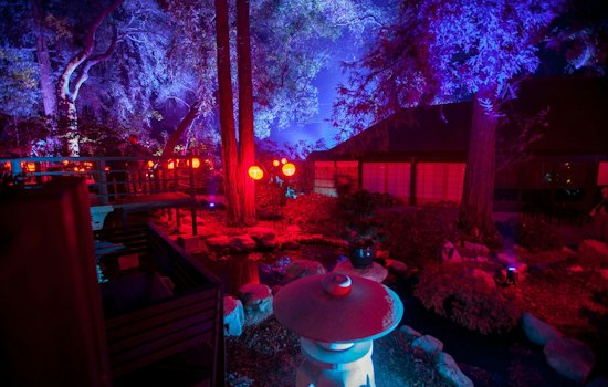 Ghostly Wire Figures Glow Under UV Light at Descanso Gardens This Fall