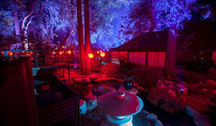 Ghostly Wire Figures Glow Under UV Light at Descanso Gardens This Fall