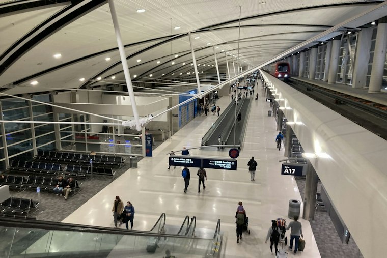 Giant African Scale Insects Nabbed at Detroit Airport in First US Discovery