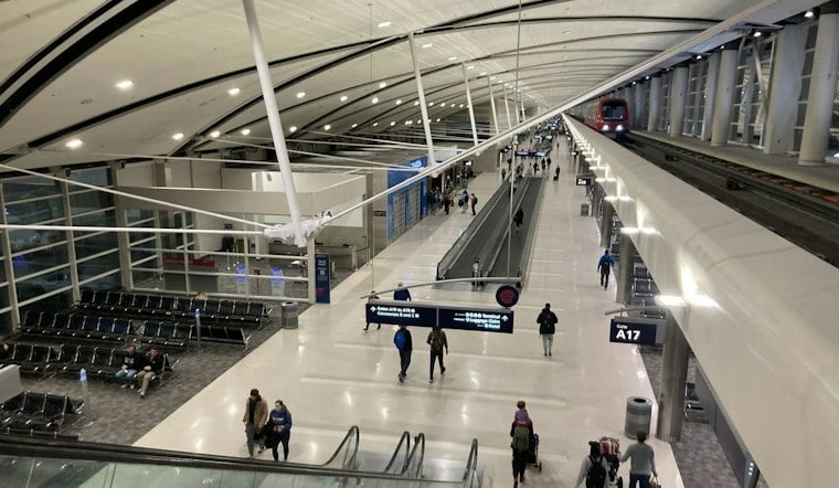 Giant African Scale Insects Nabbed at Detroit Airport in First US Discovery