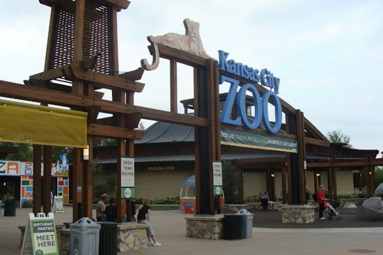 GloWild Returns to Kansas City Zoo With Lanterns and a Mile of Glow