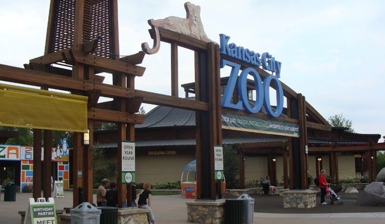 GloWild Returns to Kansas City Zoo With Lanterns and a Mile of Glow
