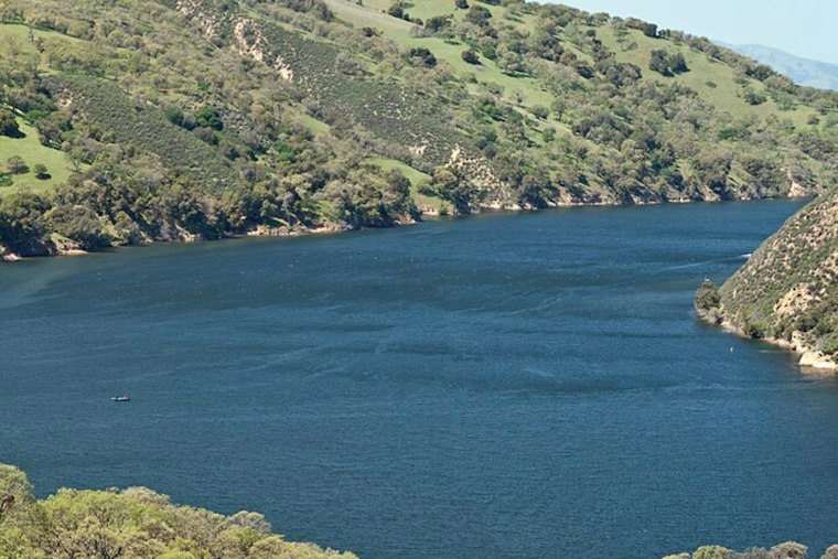 Golden Mussels Invade Lake Del Valle, Forcing 30-Day Boat Quarantine in Livermore