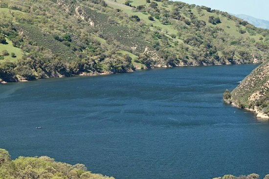 Golden Mussels Invade Lake Del Valle, Forcing 30-Day Boat Quarantine in Livermore
