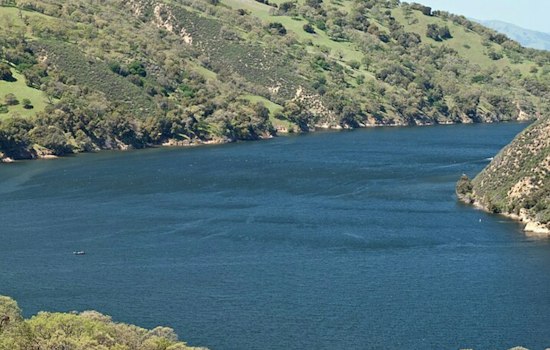 Golden Mussels Invade Lake Del Valle, Forcing 30-Day Boat Quarantine in Livermore