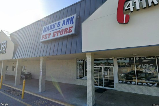 Greenacres Pet Store Thief Grabs Baby Bird, Owner Fears It Could Starve