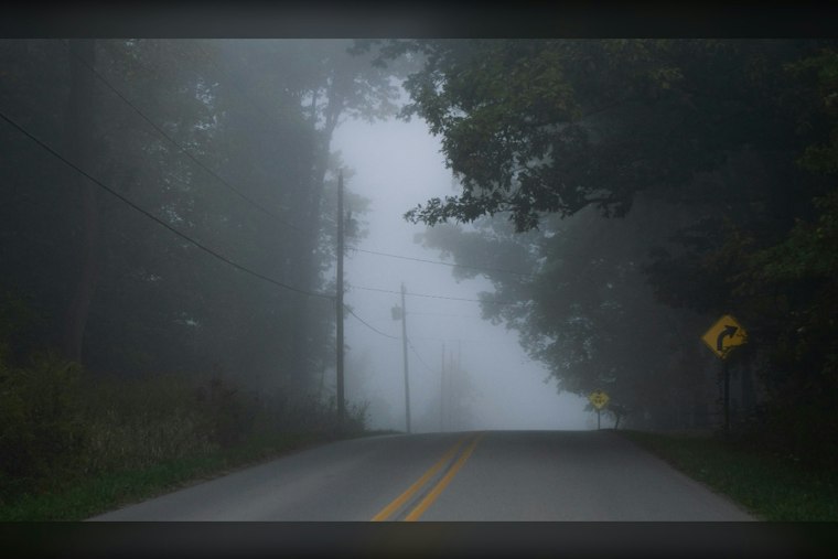 Greenville Wakes to Fog, Then Sees Warm Weather and Late-Week Storm Chances