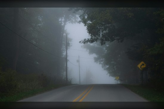 Greenville Wakes to Fog, Then Sees Warm Weather and Late-Week Storm Chances
