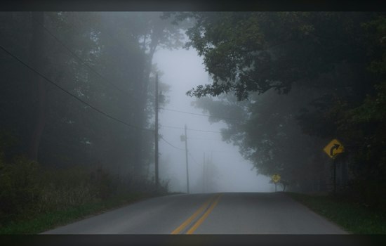 Greenville Wakes to Fog, Then Sees Warm Weather and Late-Week Storm Chances