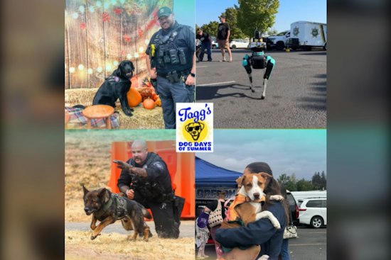Tagg's Dog Days of Summer Returns to Gresham