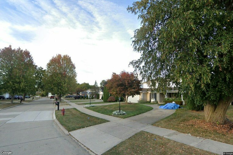 Gunfire Rips Through Southfield Home's Front Door, Wounds Family Dog