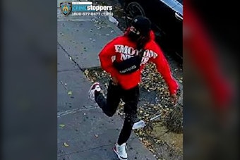 Gunman Opens Fire on Brooklyn Block, NYPD Hunts Shooter Who Fled North