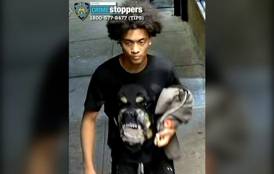 Gunman Opens Fire on Group Outside Mount Hope Storefront, NYPD Hunts Suspect