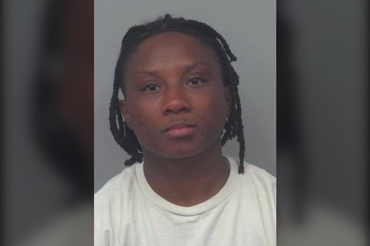 Gwinnett Fires, Arrests Three Officers Over Flock Camera Misuse
