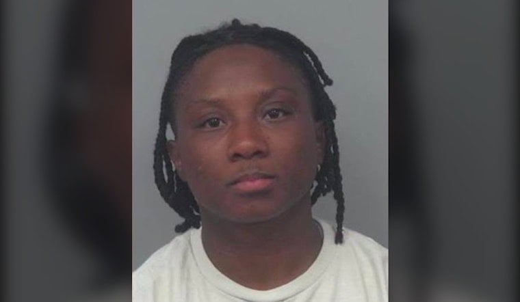 Gwinnett Fires, Arrests Three Officers Over Flock Camera Misuse
