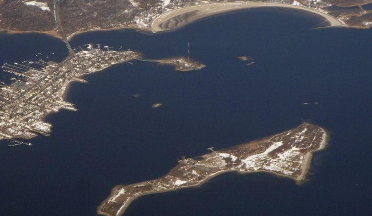 Hart Island Tours Reveal 33 Isolated AIDS-Era Graves Still Unnamed
