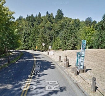 Healthy-Looking Tree Crushes Six Cars at Burien's Seahurst Park on Labor Day