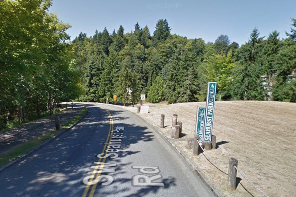 Healthy-Looking Tree Crushes Six Cars at Burien's Seahurst Park on Labor Day