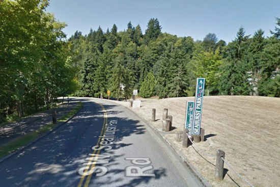 Healthy-Looking Tree Crushes Six Cars at Burien's Seahurst Park on Labor Day
