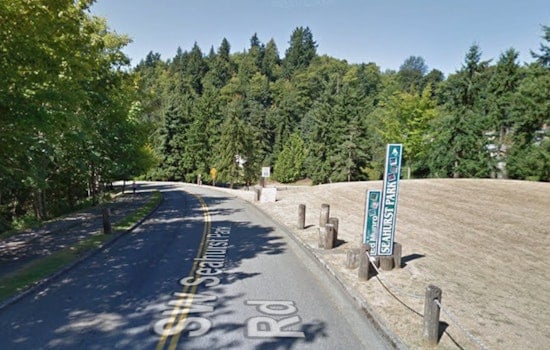 Healthy-Looking Tree Crushes Six Cars at Burien's Seahurst Park on Labor Day