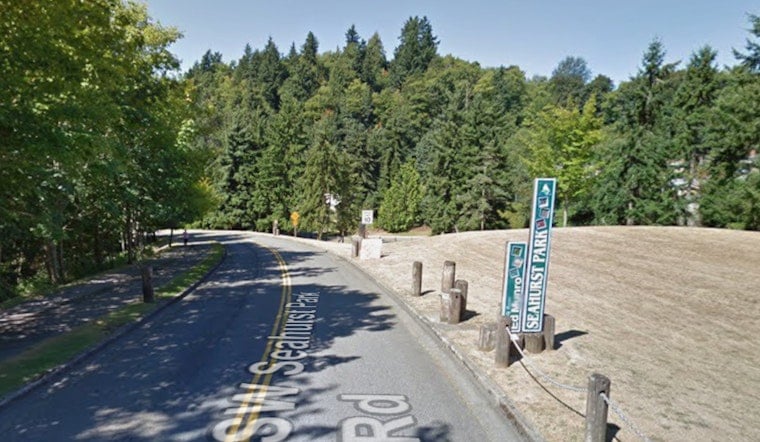 Healthy-Looking Tree Crushes Six Cars at Burien's Seahurst Park on Labor Day