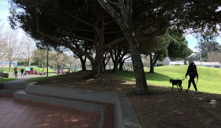 Her Viral Dolores Park Picnic Ballooned to 1,500 RSVPs — Now Partiful Is Covering SF Permit Costs