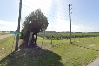 Hernando Neighbors Push to Wall Off Road From Pasco Developer's 12 Homes