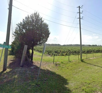 Hernando Neighbors Push to Wall Off Road From Pasco Developer's 12 Homes