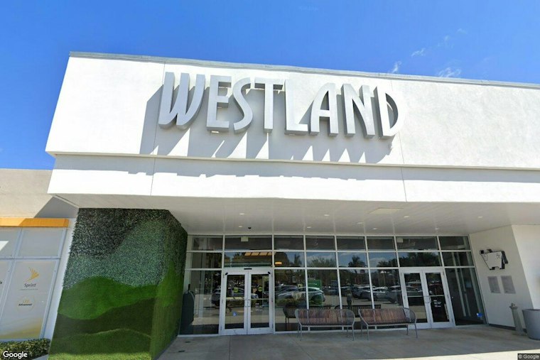 Hialeah Mall Restaurant Shut Down After Inspectors Find 50-Plus Rodent Droppings