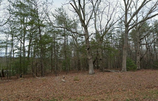 Hiker Stumbles Onto Two Bodies on Mount Yonah, GBI Called In