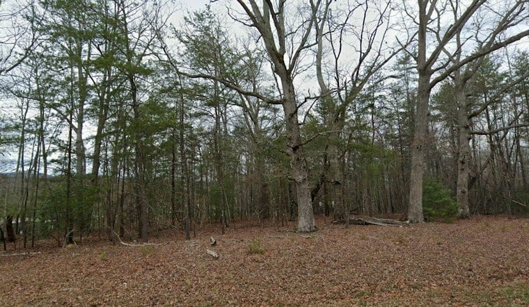 Hiker Stumbles Onto Two Bodies on Mount Yonah, GBI Called In
