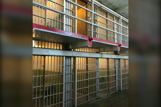 Hillsborough Inmate Dies Days After Being Found Unresponsive in Orient Road Jail Cell