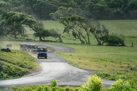 Holly Oaks Draws 5,000 Off-Roaders as Detroit 4Fest Rolls Into Its Eighth Year