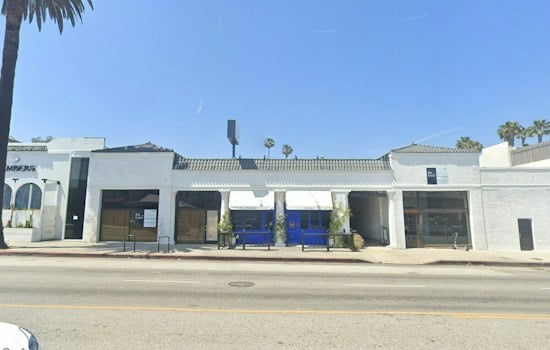 Hollywood's Horses Plots Sunset Strip Comeback After Cat-Killing Scandal, $530K in Debt
