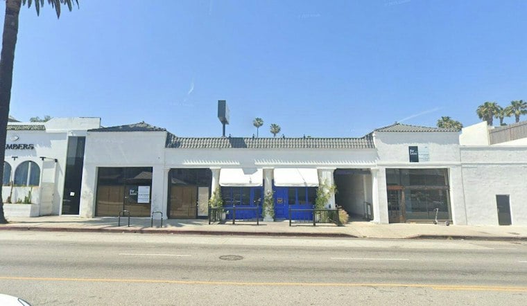 Hollywood's Horses Plots Sunset Strip Comeback After Cat-Killing Scandal, $530K in Debt