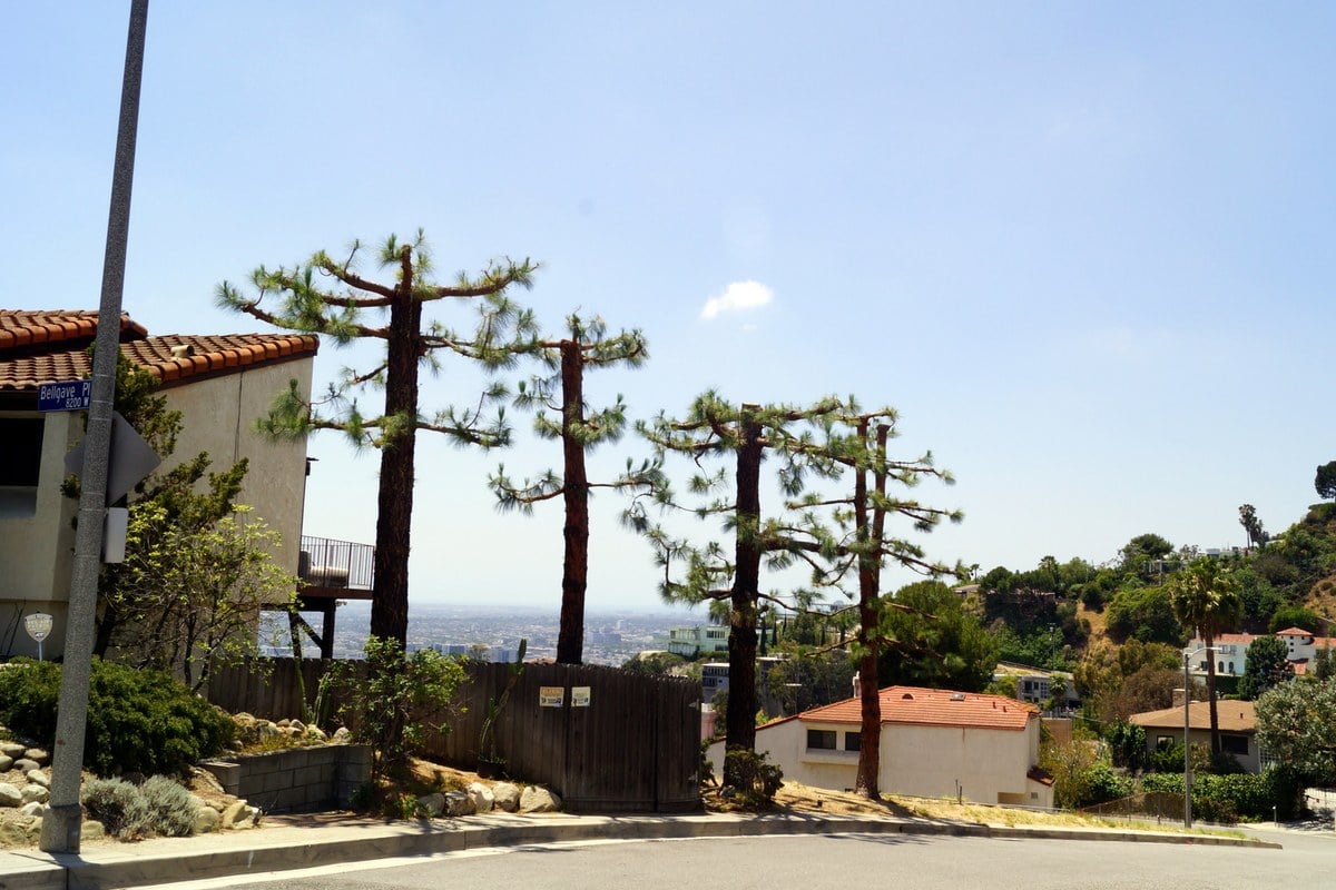hoodline.com - Gabriela Martinez - Monet Mazur Hollywood Hills Home Targeted by Burglars