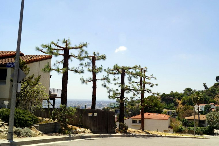 Home Alarm Scares Off Masked Burglars At Monet Mazur's Hollywood Hills House