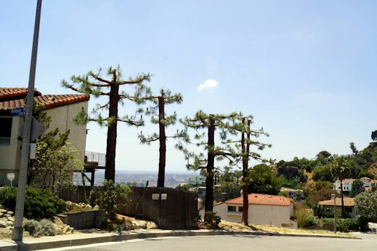 Home Alarm Scares Off Masked Burglars At Monet Mazur's Hollywood Hills House