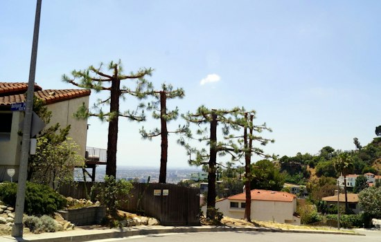 Home Alarm Scares Off Masked Burglars At Monet Mazur's Hollywood Hills House