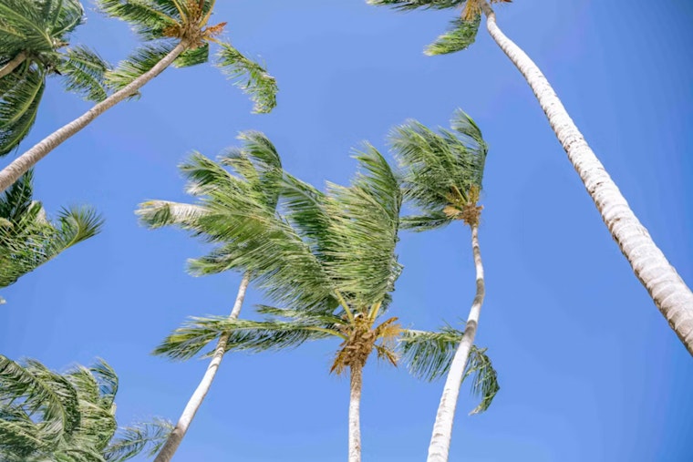 Honolulu Braces as Hurricane Lowell Supercharges Trade Winds
