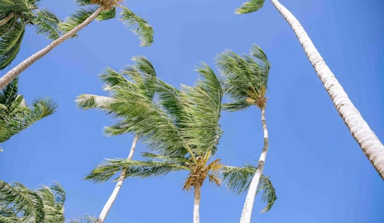Honolulu Braces as Hurricane Lowell Supercharges Trade Winds