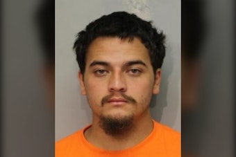 Honomu Man, 21, Charged After Rock-Throwing Rampage Traps Two Women In Hilo Home