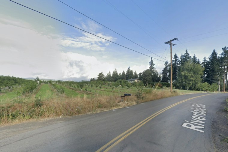 Hood River Pear Farms Rot as Abandoned Orchards Spread Disease, Losses Mount