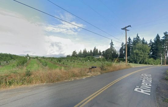 Hood River Pear Farms Rot as Abandoned Orchards Spread Disease, Losses Mount