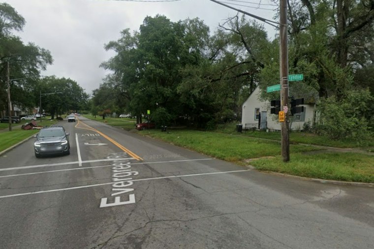 Horse Killed Running Loose on Detroit's West Side, Community Demands Answers