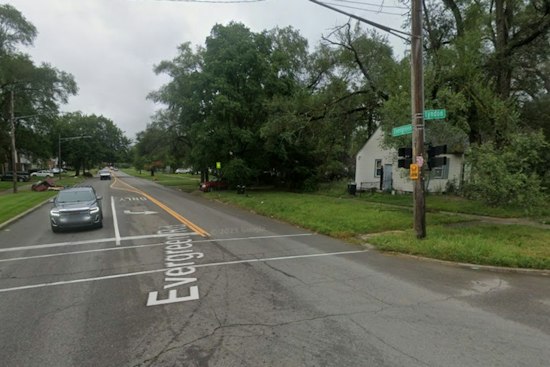 Horse Killed Running Loose on Detroit's West Side, Community Demands Answers