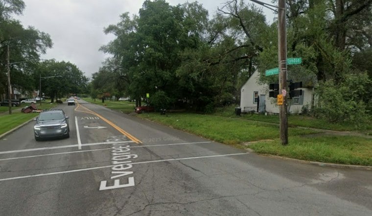 Horse Killed Running Loose on Detroit's West Side, Community Demands Answers