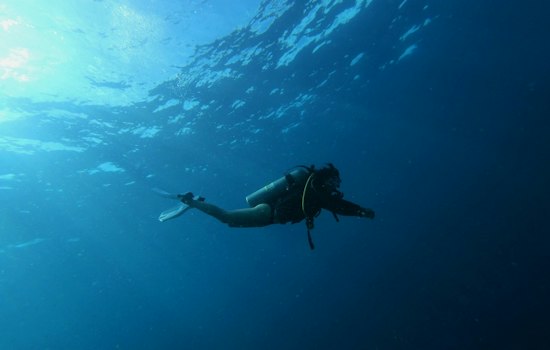 Houston Marine Beats Cancer, Dives Again With 60 Pounds on His Back