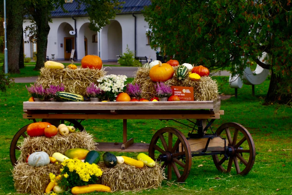 Houston's Polish Harvest Festival Marks 20 Years With Dynamo Star, Free Admission