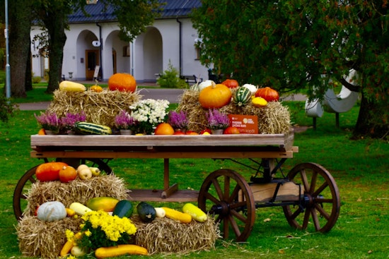 Houston's Polish Harvest Festival Marks 20 Years With Dynamo Star, Free Admission